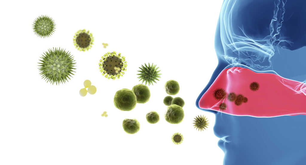 illustration of pollen causing allergic rhinitis